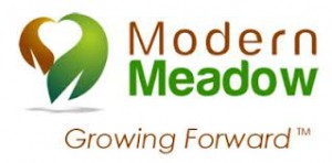 modern meadow