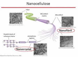 BioPlus Nanocellulose 1