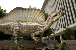 Spinosauros il dinosauro perduto stampato in 3d in motra a Milano 03